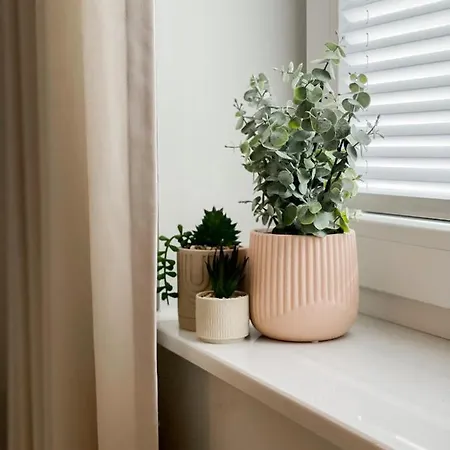 Swedish Summer Apartment *
